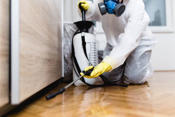 Best Exterminator Services  in New Union, TN