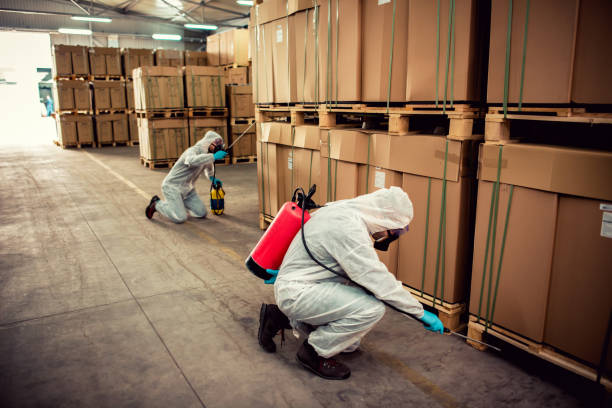 Best Residential Pest Control  in New Union, TN