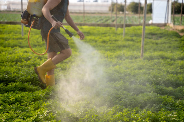 Best Affordable Pest Control Services  in New Union, TN