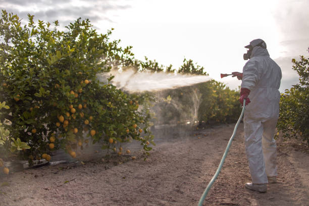 Best Ant Control Services  in New Union, TN