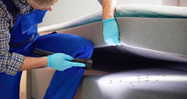 Best Best Pest Control Companies  in New Union, TN