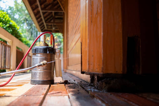 Best Pest Prevention Services  in New Union, TN
