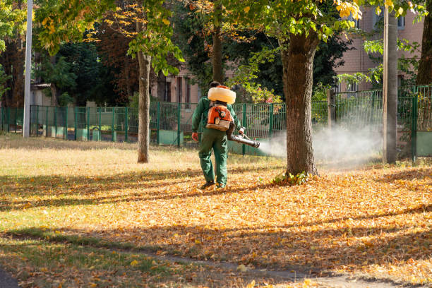 Best Best Pest Control Companies  in New Union, TN